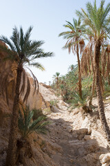 Dirty road at Chebika oasis. Tunisia