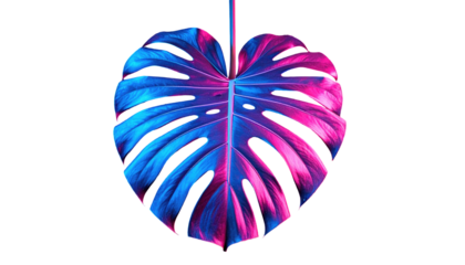 Vibrant split-toned monstera leaf, half neon blue, half radiant pink, isolated against a stark black background