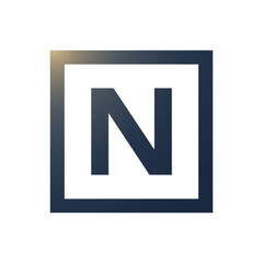 stylized letter &ldquo;N&rdquo;
