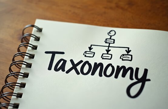 Close up of a notebook page with the word taxonomy written in bold letters. A simple diagram shows hierarchy and structure. Includes notes and organizational chart.