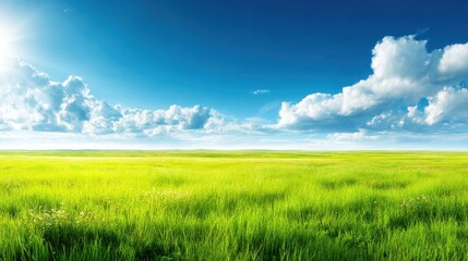 Fototapeta premium Vast Green Field Under Bright Blue Sky with Fluffy White Clouds and Brilliant Sunlight Shining on Lush Grass and Rolling Landscape in Tranquil Nature Scene