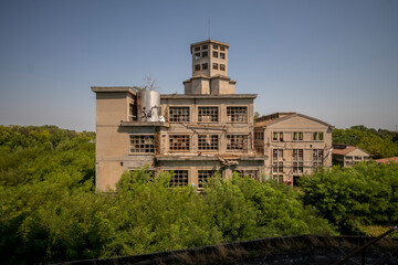 Fototapety na wymiar - Fototapeta24.pl