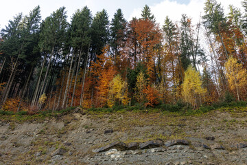 Autumn Forest Above Rocky Slope with Colorful Trees and Exposed Rock Layers