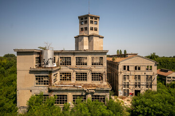 Fototapety na wymiar - Fototapeta24.pl