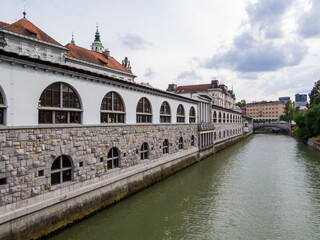 Ljubljanica River