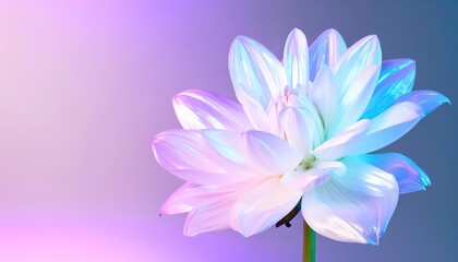 Fototapeta premium Holographic Iridescent Flower Petals Glowing on Dark Background