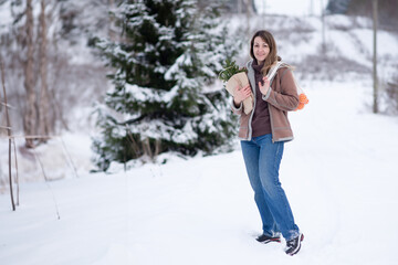 Fototapeta premium Winter stroll through the snowy landscape with a cheerful woman carrying plants for the New Year celebration