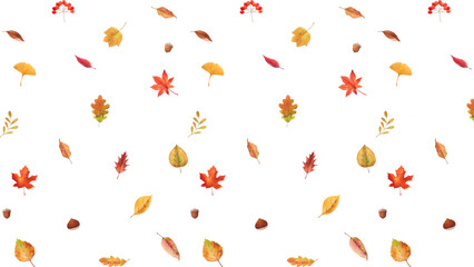 Watercolor autumn foliage pattern with falling leaves and acorns for harvest season design and decoration