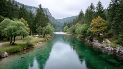 Fototapeta premium Serene River Flowing Through Lush Green Forested Mountains Under an Overcast Sky with Reflections on the Water Surface