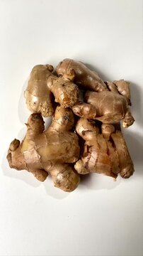 Ginger root or Ginger or Zingiber officinale is widely used as a spice and a folk medicine. Close up, Selective focus