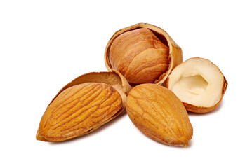Highquality studio photograph illustrating roasted almonds in shells with visible texture and creamy core for packaging
