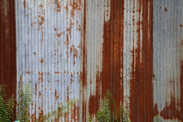Old zinc surface background. Rusty metal texture. Weathered galvanize texture. Wavy rusty zinc pattern. Rusty tin background