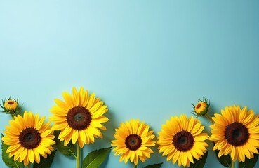 Fototapeta premium Group of sunflowers arranged on a light blue backdrop. Vibrant yellow petals and dark brown centers stand out. Offers ample blank space for text or graphic overlays.