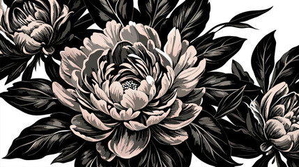 Hand-Painted Peony Illustration Elements for Elegant Invitations