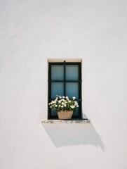 Minimalist window with flowers on a white wall.