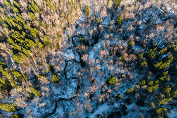 Aerial view of a frosty forest landscape. A meandering creek weaves through snow-dusted woods, showcasing bare trees and lush green evergreens