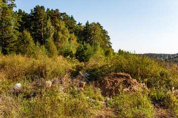 An unsightly illegal dump in a lush, green natural landscape. Piles of dirt and scattered trash mar the foreground, contrasting with the serene forest and clear sky beyond