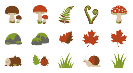 Fototapeta premium Autumn Woodland Elements Vector Set Isolated on White Background