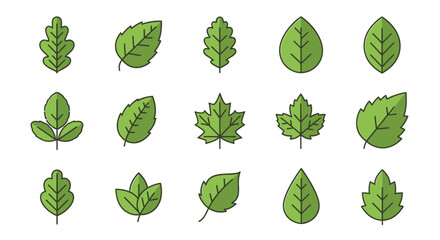 Green foliage leaf icon set vector design nature plants botanical elements
