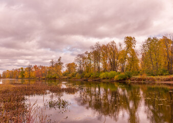 Beautiful colorful autumn scenery lake view