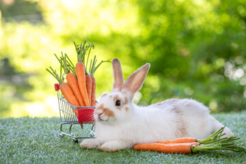 Lovely bunny easter fluffy baby brown rabbit love to eat  carrot is holding shopping cart full of green vegetable, carrots, on nature background. Delicious healthy green good food. Healthy lifestyle.