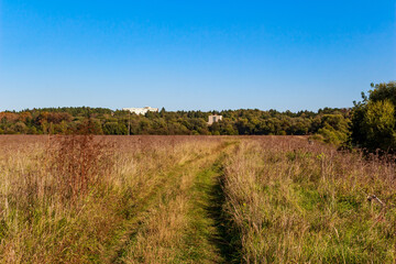 A winding dirt path meanders through a sun-kissed, dry autumn field. Distant woodland and buildings peek under a vast blue sky