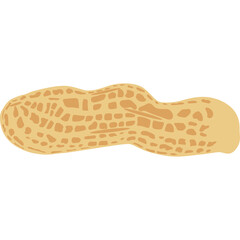 A single peanut in its shell shown horizontally with a textured brown exterior and a plain beige end against 