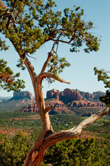 Red rocks in Sedona, Arizona