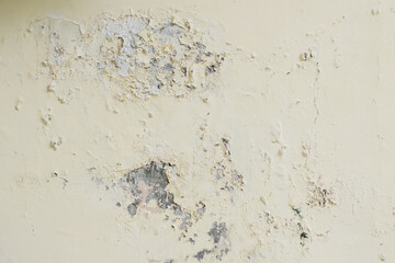 Damp and moldy house wall problem