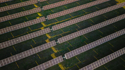 Top view of solar energy panels arranged in rows on green field illuminated by morning sunlight.