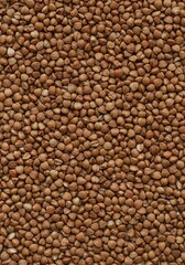 Close-up of healthy organic buckwheat groats scattered evenly, creating a rustic and nutritious textured surface perfect for food presentations ,organic ,whole grain ,vegan