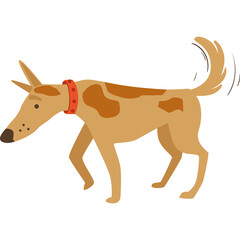 A Tan Dog with Brown Spots and a Red Collar Walks with its Tail Wagging on a Transparent Background