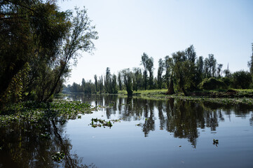 view of xochimilco canals in the morning