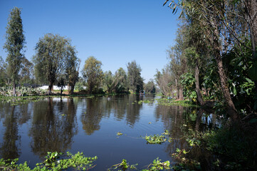 view of xochimilco canals in the morning