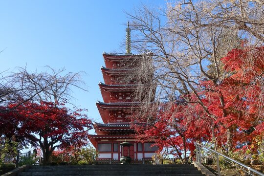 五重塔」の写真素材 | 831,737件の無料イラスト画像 | Adobe Stock
