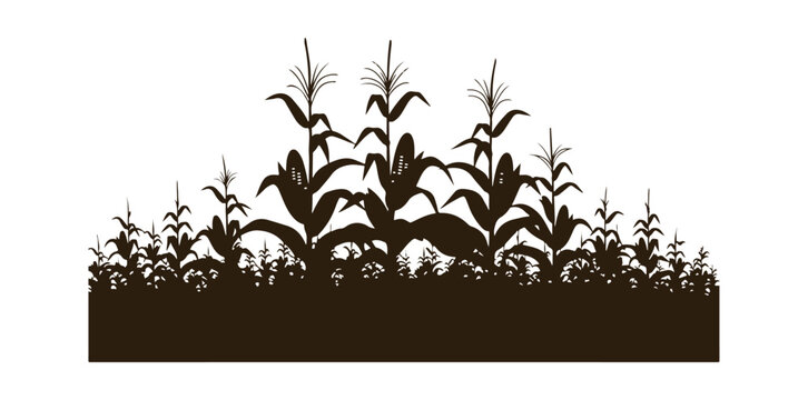 Stylish Vector Icon Representing a Corn Field


