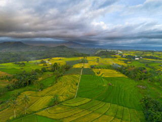 Fototapeta premium Beautiful morning view indonesia Panorama Landscape paddy fields with beauty color and sky natural light