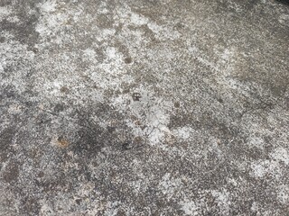 concrete wall background texture