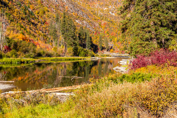 Calm water of the pond in mountains in fall colors
