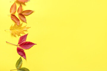 Composition with beautiful autumn leaves on yellow background