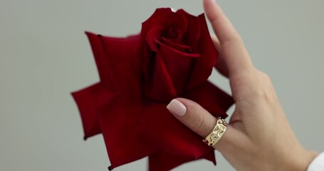 Woman with red rose wearing stylish ring on light grey background, closeup - Powered by Adobe