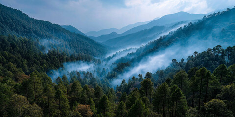 Fototapeta premium Addressing biodiversity loss solutions for forest conservation in the mountains nature wide-angle serene environment