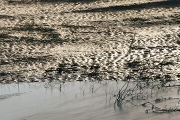 the river in the morning