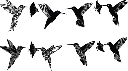Stylized hummingbird vector set in flight and feeding poses, floral elements, decorative wings, black and white nature-themed illustration.
