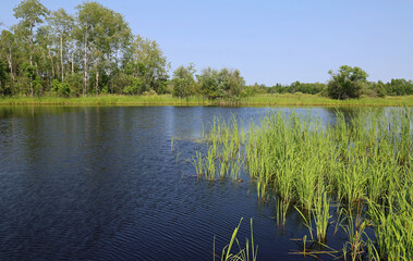 Summer in Voyageur National Park, Minnesota
