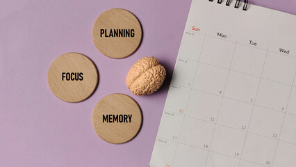 Brain Function and Cognitive Skill Concept: Planning, Focus, and Memory Discs with Calendar