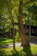 Fototapety na wymiar - Fototapeta24.pl