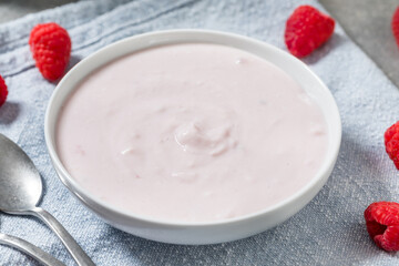 Healthy Cold Raspberry Greek Yogurt