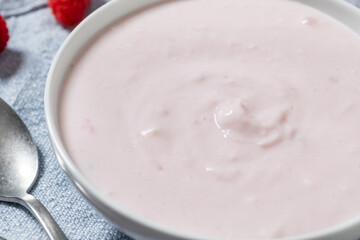 Healthy Cold Raspberry Greek Yogurt