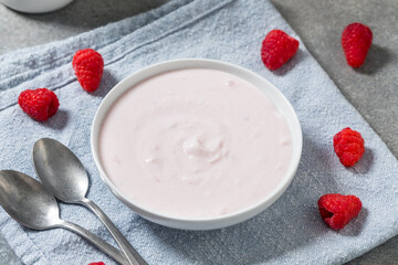 Healthy Cold Raspberry Greek Yogurt